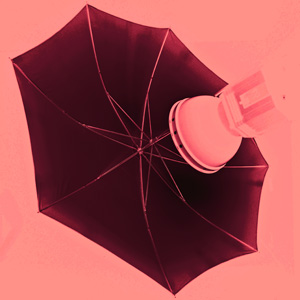 Listen Fashion Victim Song